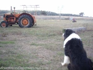 Diesel watching tractor